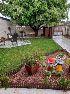 Cleaning, landscaping and garden, painting, moving help