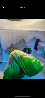 Fridge - Ad posted by Ncediwe Mbhele