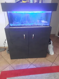 Fishtank - Ad posted by Nicaylon Govender