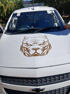 DSSG AUTO GLASSSES021 023 3703