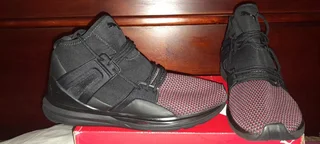 Puma Ignite 2017 Limitless