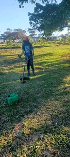 푳풐풐풌풊풏품 풇풐풓 풋풐풃