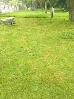 Peter's garden cleaning service