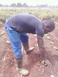 I am Moses Simkoko ,looking for the job