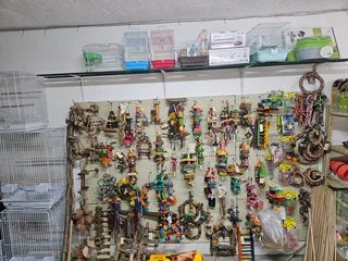 Parrot toys and accessories for sale