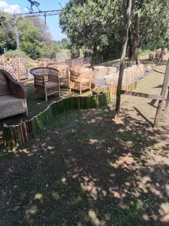 I'm selling malawian cheas in hilitoni 0pozit chekars