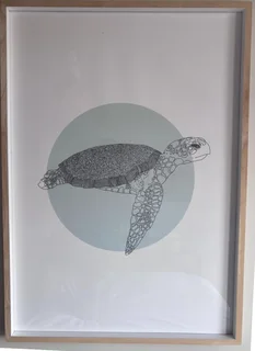 Framed Turtle Print