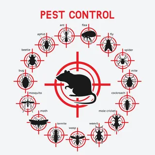 Pest Control/ULV Fogging-( Cockroach, Bed bugs , Mosquito , Mice , Rats etc)