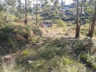 Site - Ad posted by Nhlakanipho Mhlongo