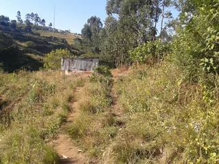 Site - Ad posted by Nhlakanipho Mhlongo