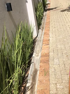 Painting, gardening, housekeeping, driving, caretaker,