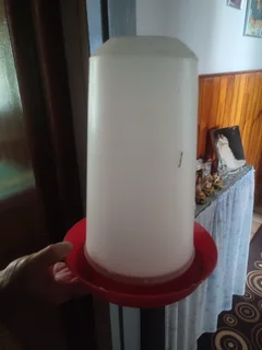 Water feeder for birds