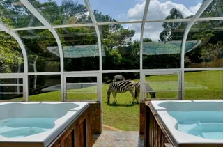 Accomodation for sale