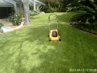 Malawian Gardener/handyman.