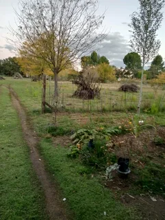 Plot in Estoire, Bloemfontein