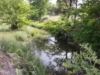 Plot in Estoire, Bloemfontein