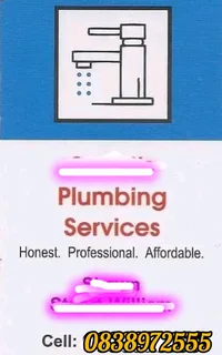 PROFESSIONAL PLUMBING