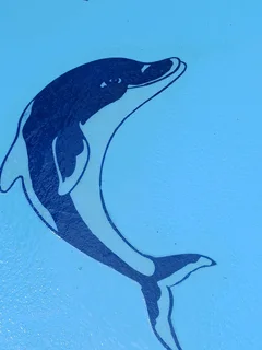 For any swimming pool issues contact us today O747319932