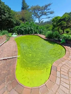 For any swimming pool issues contact us today O747319932