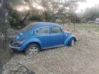 Vw beetle