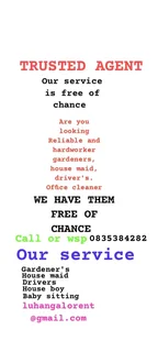 Are you looking reliable and hard worker's we have them free of chance try to call us