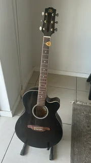 SX Custom Acoustic-Electric Guitar