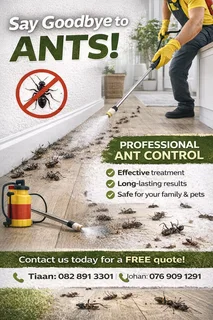 Say goodbye to ants