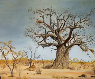 Boabab painting