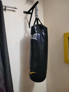 Everlast large punching bag with mounting and gloves