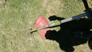 I'm looking job as garden boy