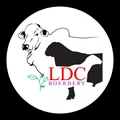 LDC Boerdery