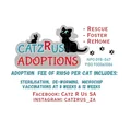 CatzRus