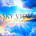 Sky View Media