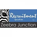 Chief Executive Officer - Business Head
