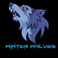 WinterWolves PC Solutions