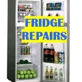 Electric appliances repairs