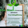 Blue Star Landscaping design
