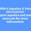 Milo's Aquatics