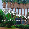 PRINCE TREE FELLERS (0849660849)
