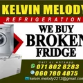 kelvinmelody63