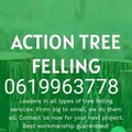 ACTION TREE FELLING SERVICES