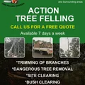ACTION TREE FELLING SERVICES