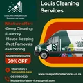louisjanitorialservices