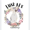 Luxe Rex Rabbitry: Tatum