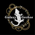 galaxygeckosza