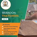 Brandon Thatchers