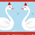 Swantwo